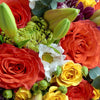 Love In Casablanca Mixed Rose Bouquet - New Jersey Blooms - New Jersey Flower Delivery