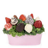 Mother's Day Pink 12 Chocolate Covered Strawberry Gift Tin - New Jersey Blooms - New Jersey Mother's Day Gift Delivery