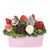 Mother's Day Pink 12 Chocolate Covered Strawberry Gift Tin