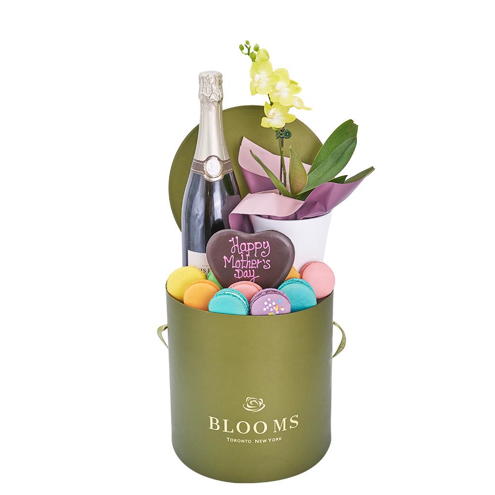 https://newjerseyblooms.com/cdn/shop/products/MothersDayChampagneOrchid_TreatBox_2000x.jpg?v=1628712003