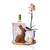 Orchid & Wine Easter Gift