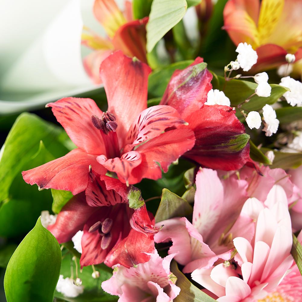 Parisian Brilliance Peruvian Lily Bouquet - New Jersey Flower Delivery - New Jersey Blooms