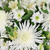 Peaceful White Mixed Floral Arrangement - New Jersey Blooms - New Jersey Flower Delivery