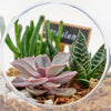 Pear Shaped Succulent Terrarium - New Jersey Blooms - New Jersey Plant Delivery
