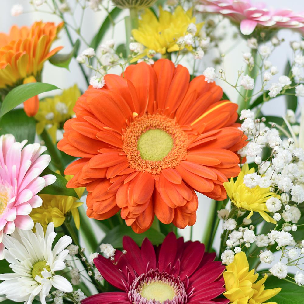 Pops of Cheer Mixed Floral Centerpiece, selection of multi-colored gerberas, daisies, salal, ruscus, and baby's breath gathered in a round black hat box, Mixed Floral Gifts from Blooms New Jersey - Same Day New Jersey Delivery.