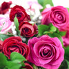 Pink and red roses New Jersey - New Jersey flower delivery - New Jersey Blooms