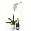 Pure & Simple Flowers & Champagne Gift, white orchid in a white ceramic planter, bottle of Sparkling Wine, Flower Gifts from Blooms New Jersey - Same Day New Jersey Delivery.
