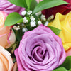 Rainbow Essence Rose Gift - New Jersey Blooms - New Jersey Flower Delivery