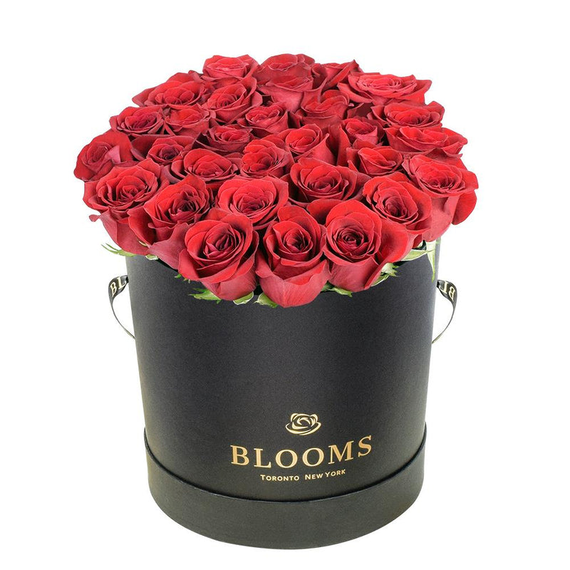 Red Vibrancy Box Rose Set - New Jersey Blooms - New Jersey flower delivery