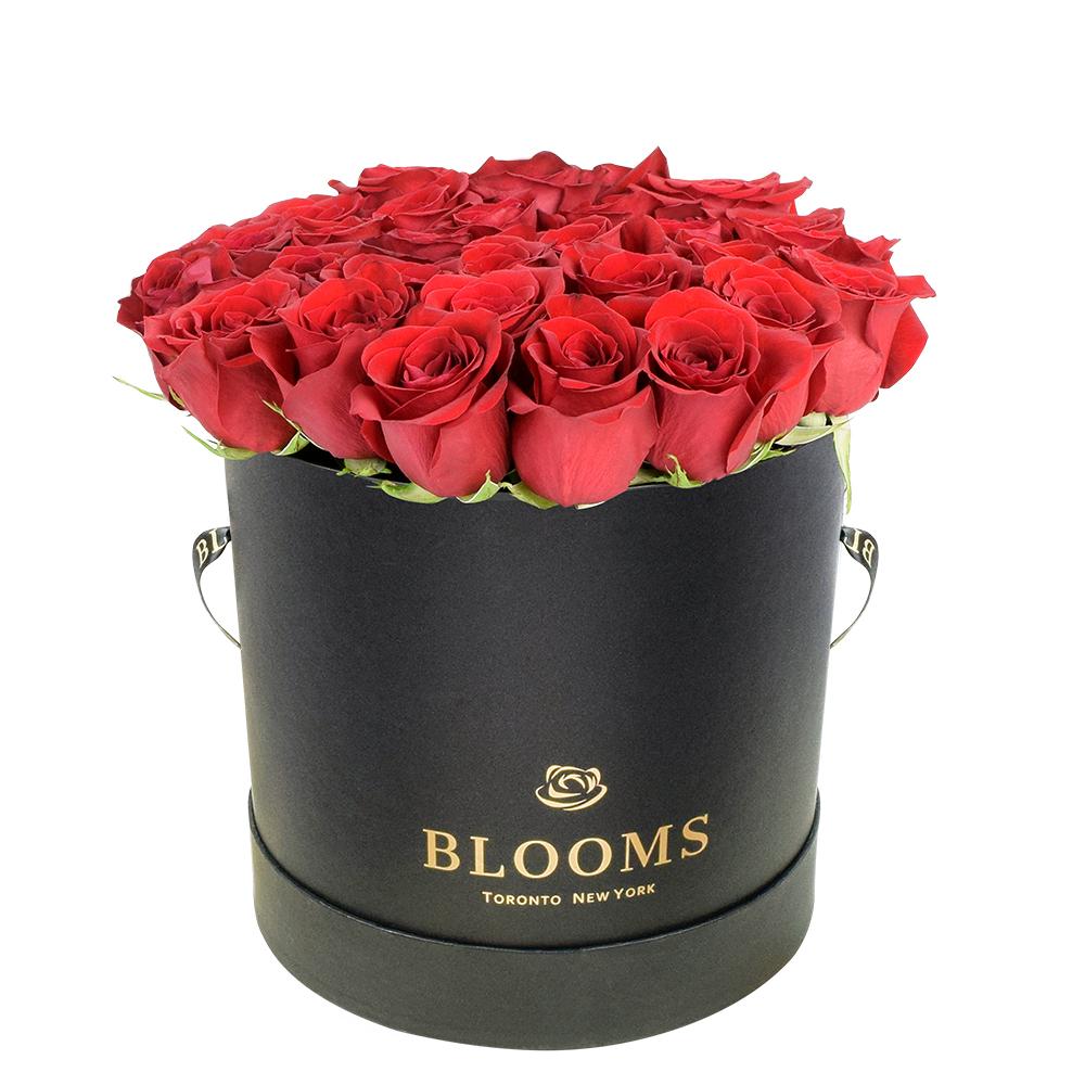 Red Vibrancy Box Rose Set - New Jersey Blooms - New Jersey flower delivery