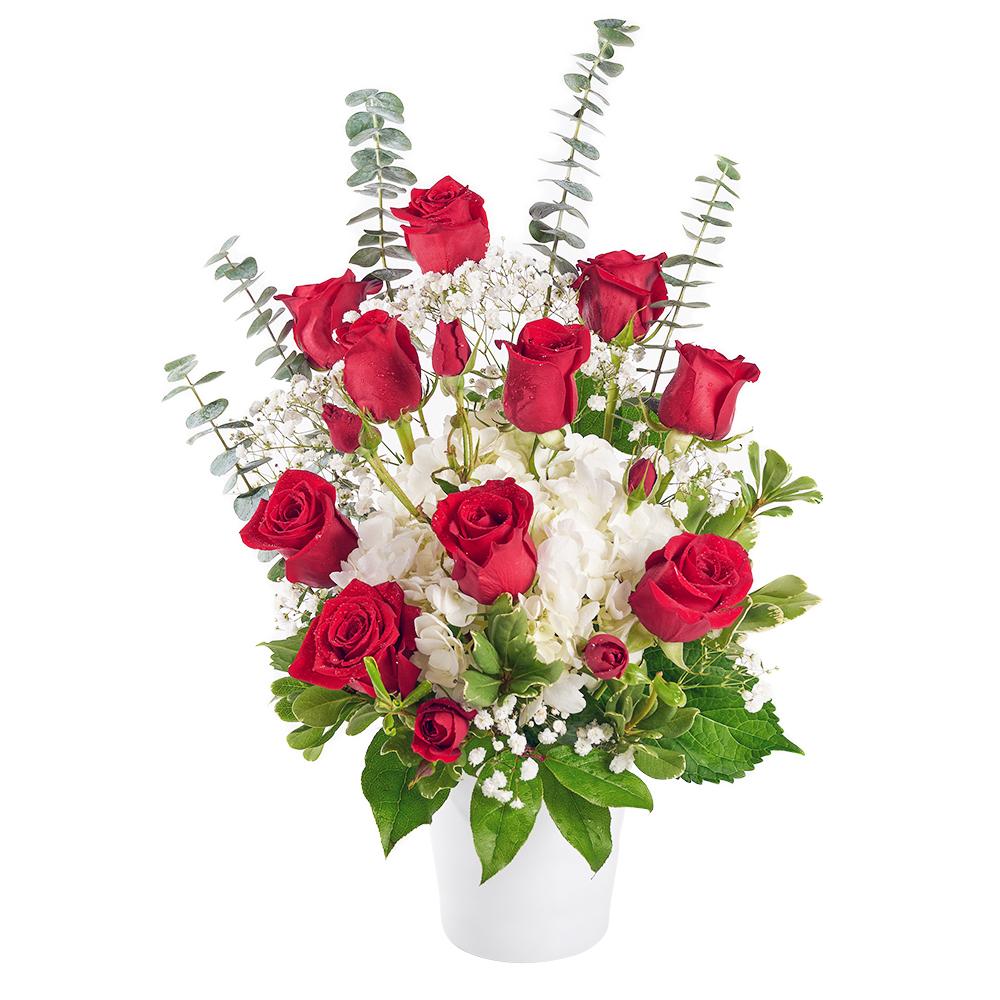 Rose &amp; Hydrangea Arrangement - New Jersey Flower Delivery - New Jersey Blooms