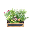 The Secret Garden Box, miniature tabletop garden, assortment of potted plants like mini roses, and tropical plants arranged in a wooden box planter, Plant Gifts from Blooms New Jersey - Same Day New Jersey Delivery.