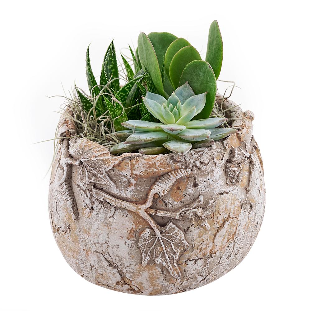 Shades of Green Succulent Terrarium - New Jersey Flower Gifts - Plant Gifts - Cactus - New Jersey Blooms