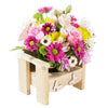 Slice of Nature Garden Chair, roses, alstroemeria, and daisies in a charming planter chair, Mixed Floral Gifts from Blooms New Jersey - Same Day New Jersey Delivery.