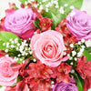 Soft Radiance Mixed Arrangement, red alstroemeria and a selection of pink and purple roses with ruscus and baby’s breath in a short pink designer hat box, Mixed Floral Gifts from Blooms New Jersey - Same Day New Jersey Delivery.