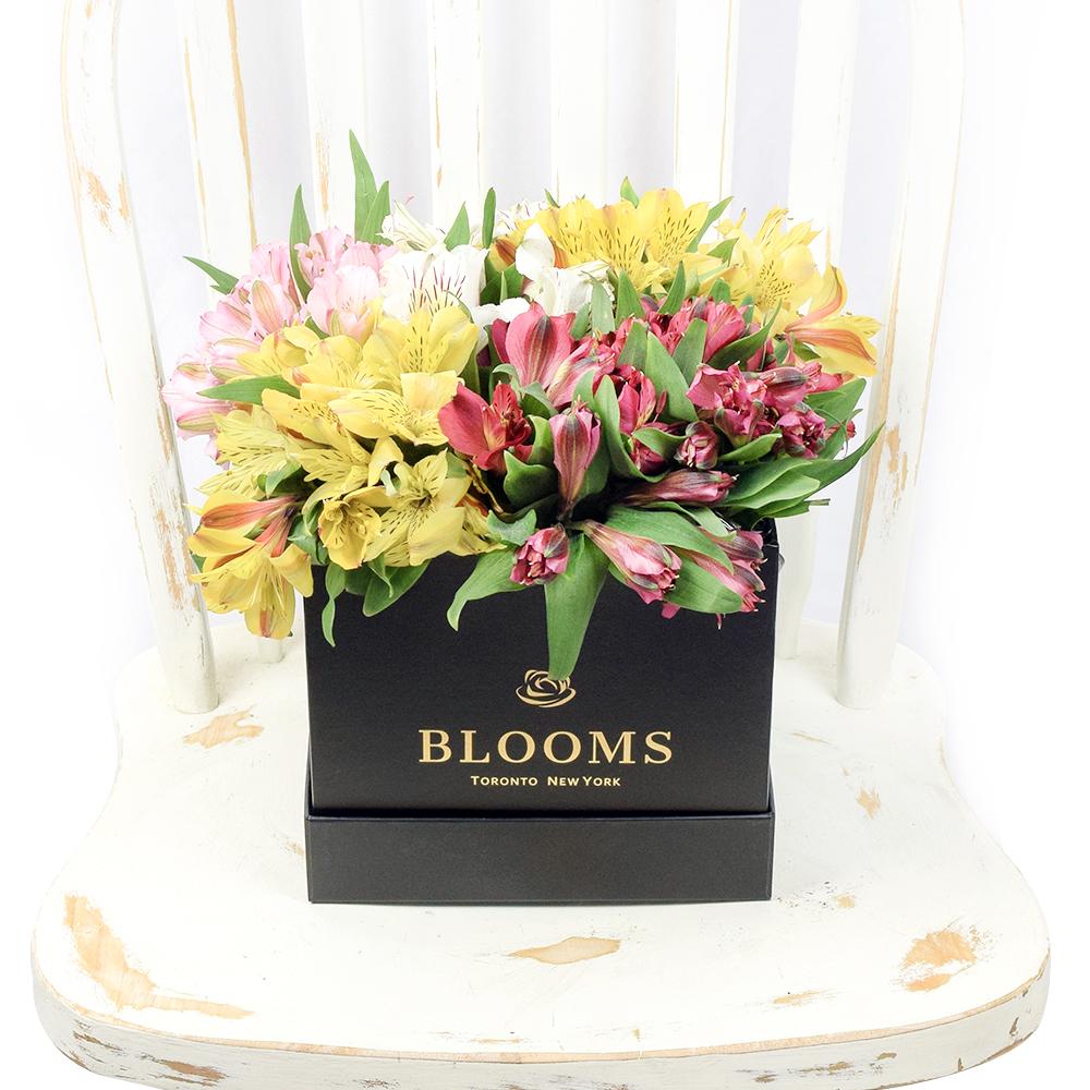 Spring Bloom Peruvian Lily Hat Box - New Jersey Blooms - New Jersey Flower Delivery