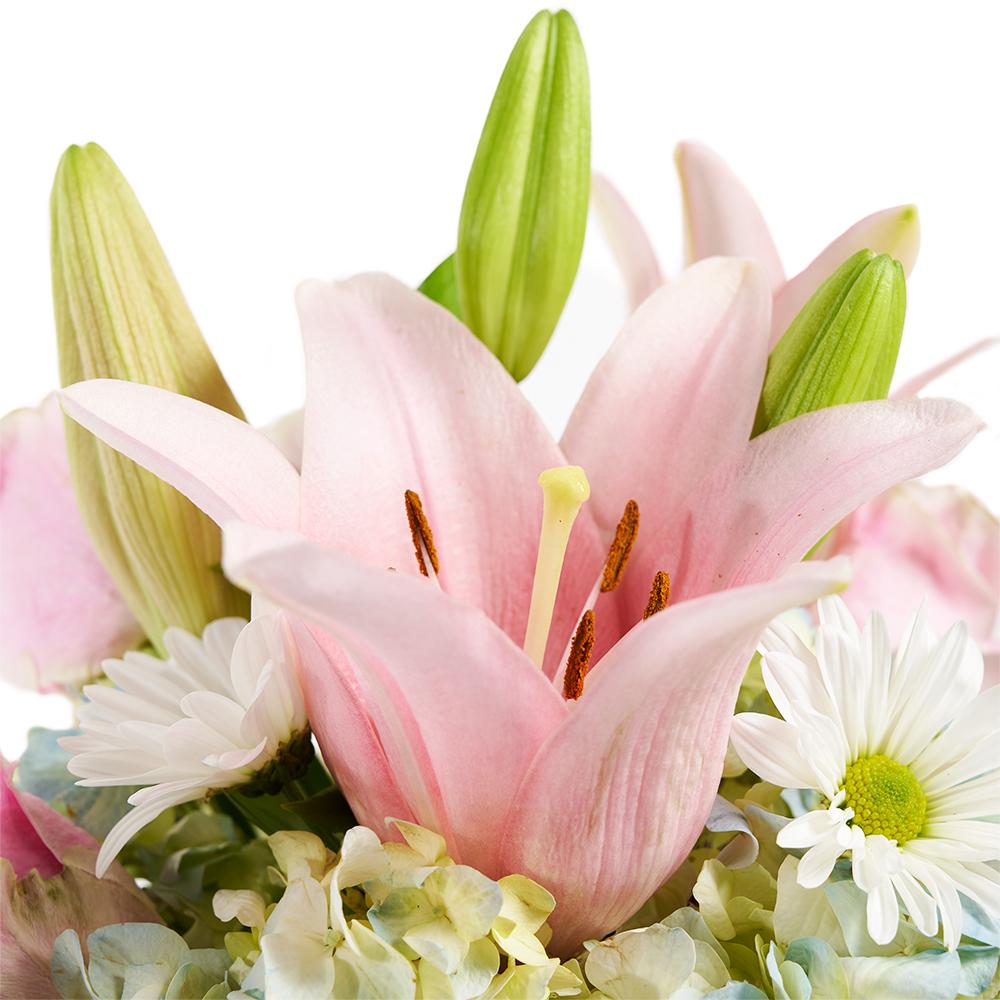 Spring Forth Mixed Floral Gift, hydrangea, lily, roses, and daisies in a green hat box, Floral Gifts from Blooms New Jersey - Same Day New Jersey Delivery.