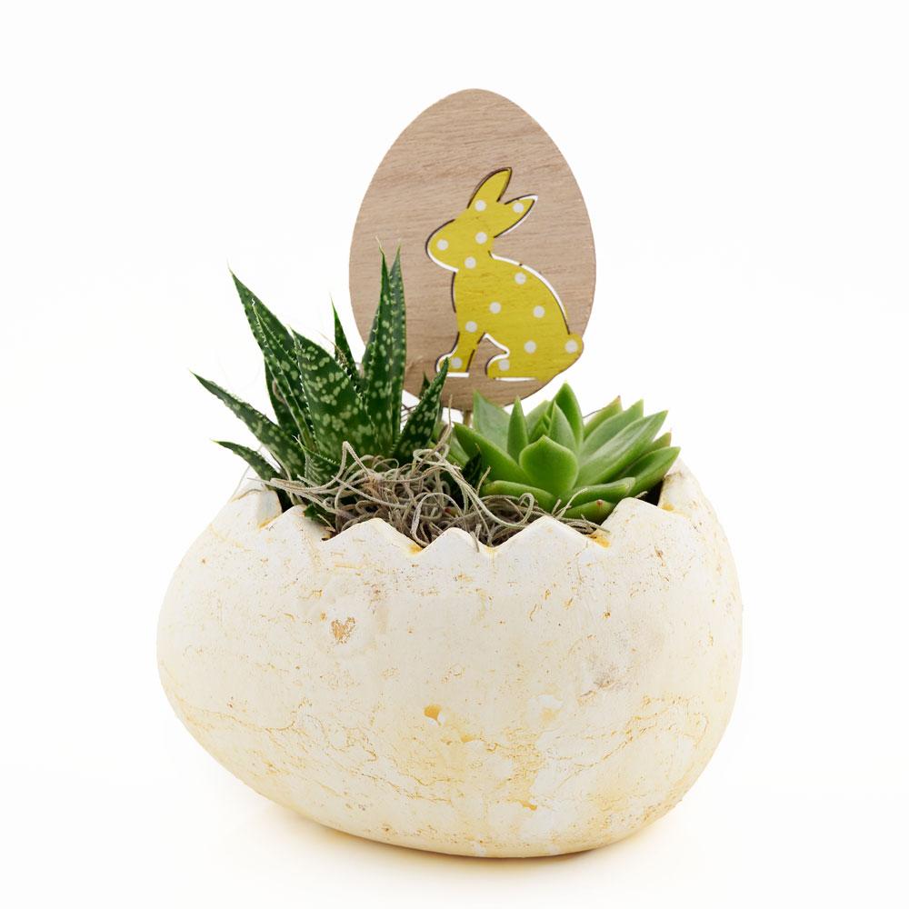 https://newjerseyblooms.com/cdn/shop/products/Succulent-Easter-Egg-Arrangement-1_2000x.jpg?v=1628521223