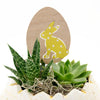 Succulent Easter Egg Arrangement - New Jersey Plant Delivery - New Jersey Blooms