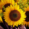 Summer Glory Sunflower Bouquet - New Jersey Blooms - USA flower delivery
