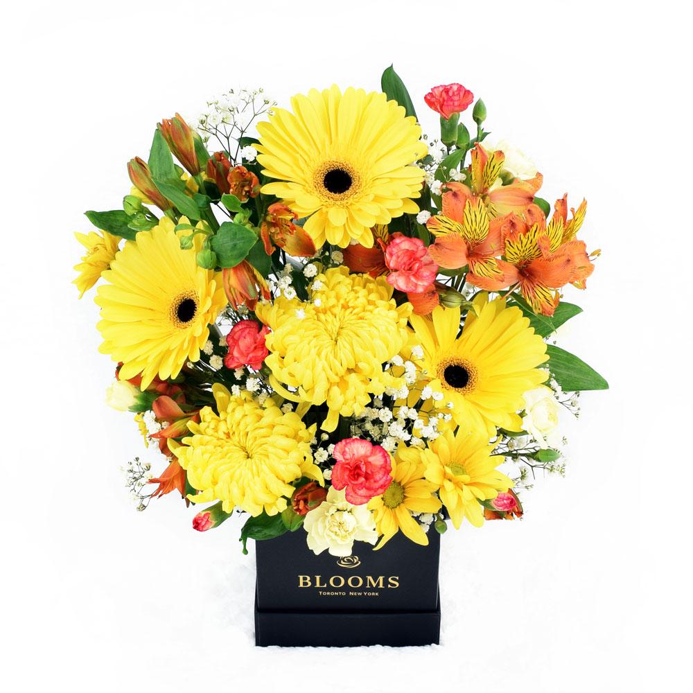 Sunrise Mixed Floral Arrangement - New Jersey Blooms - New Jersey Flower Delivery