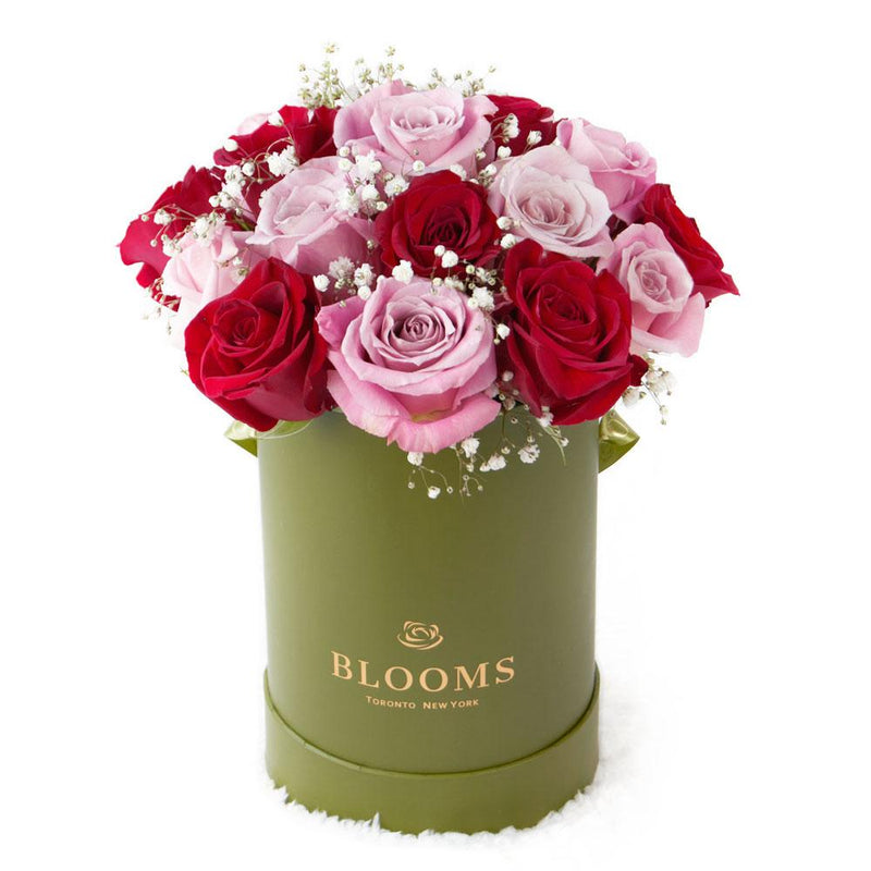 Elegant Rose Duo Arrangement, lovely mix of pink and red roses with a sprinkle of baby’s breath, in a tall green designer hat box, Mixed Flower Gifts from Blooms New Jersey - Same Day New Jersey Delivery.