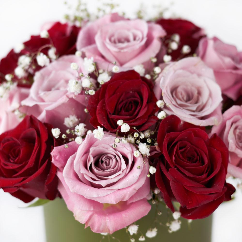 Elegant Rose Duo Arrangement, lovely mix of pink and red roses with a sprinkle of baby’s breath, in a tall green designer hat box, Mixed Flower Gifts from Blooms New Jersey - Same Day New Jersey Delivery.