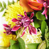 Tropical Shine Mixed Bouquet - New Jersey Blooms - New Jersey Flower Delivery