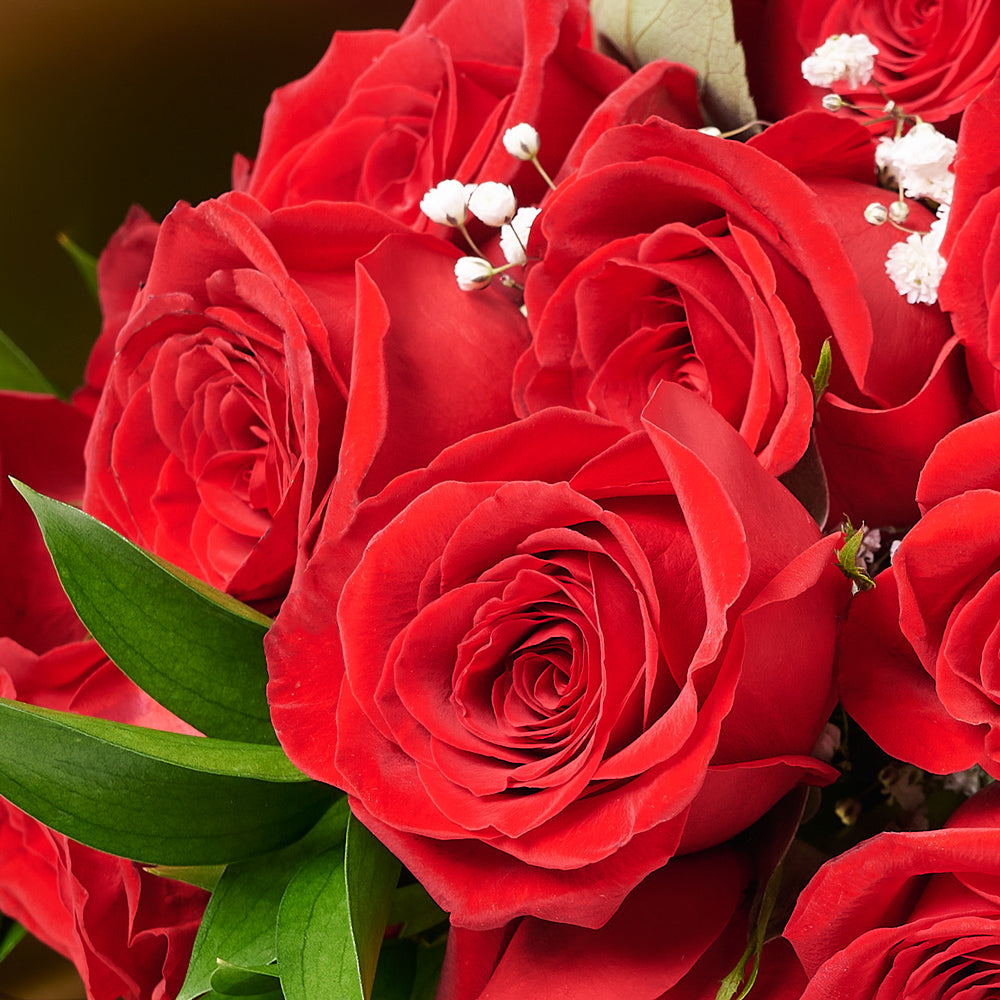 Valentine's Day Dozen Red Roses Bouquet, valentines day gift, valentines day, valentines gift, valentines, rose gift, rose, bouquet gift, bouquet, flower gift, flower