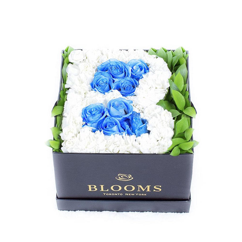 Welcome Baby Boy Flower Box - Roses in a 'B' shape in a designer box - New Jersey Blooms - New Jersey Flower Delivery