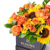 You Are My Sunshine Sunflower Box Gift, sunflowers, roses, alstroemeria, spray roses, daisies, and ruscus gathered together in a square black designer box, Mixed Flower Gifts from Blooms New Jersey - Same Day New Jersey Delivery.