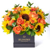 You Are My Sunshine Sunflower Box Gift, sunflowers, roses, alstroemeria, spray roses, daisies, and ruscus gathered together in a square black designer box, Mixed Flower Gifts from Blooms New Jersey - Same Day New Jersey Delivery.